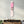 Pink Grunge Portrait | Snowboard Cam Duvar Tablosu