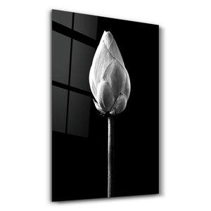Silent Awakening | Glass Wall Art - Artdesigna
