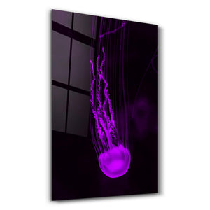 Jellyfish | Glass Wall Art - Artdesigna