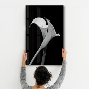 Arum Lily | Glass Wall Art - Artdesigna