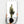 Giant Cactus | Glass Wall Art - Artdesigna