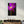 Purple Silence | Glass Wall Art - Artdesigna