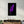Purple Feather | Glass Wall Art - Artdesigna
