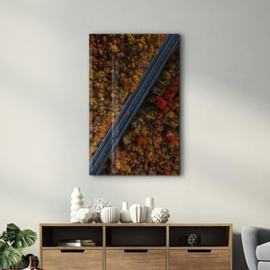 Alone in the Road | Glass Wall Art - Artdesigna