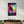 Lost Rabbits | Secret World Collection Glass Wall Art - Artdesigna