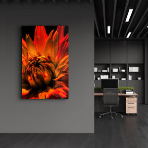 Orange Daisy | Glass Wall Art - Artdesigna