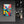 Colorful Cactus Abstract - Glass Wall Art - Artdesigna