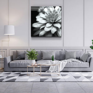 ・"Flower"・Glass Wall Art - ArtDesigna Glass Printing Wall Art