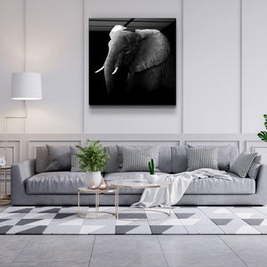 ・"Elephant"・Glass Wall Art - ArtDesigna Glass Printing Wall Art