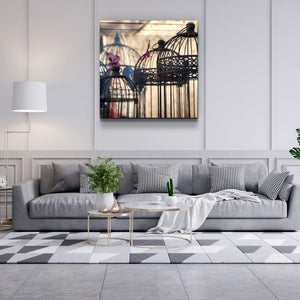 ・"Bird Cage"・Glass Wall Art - ArtDesigna Glass Printing Wall Art