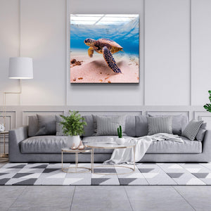 ・"Sea Turtle"・Glass Wall Art - ArtDesigna Glass Printing Wall Art