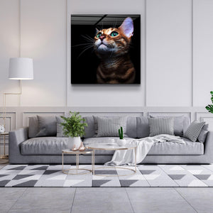 ・"Kitten"・Glass Wall Art - ArtDesigna Glass Printing Wall Art