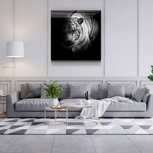 Guardian of the Night | Glass Wall Art - Artdesigna