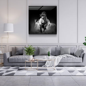 Gallop of the Free | Glass Wall Art - Artdesigna