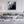 White Horse | Glass Wall Art - Artdesigna