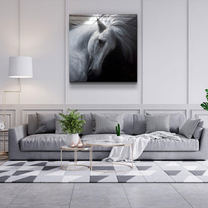White Horse | Glass Wall Art - Artdesigna