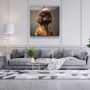 ."Stylish Dogs - V4". Designer's Collection Glass Wall Art - ArtDesigna Glass Printing Wall Art