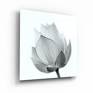 ・"Flower"・Glass Wall Art - ArtDesigna Glass Printing Wall Art