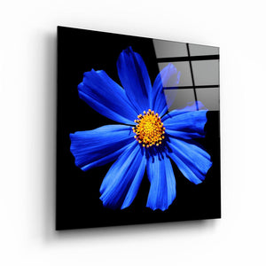 ・"Blue Flower"・Glass Wall Art - ArtDesigna Glass Printing Wall Art