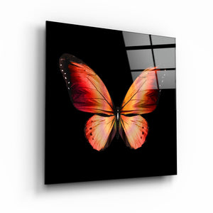 ・"Butterfly"・Glass Wall Art - ArtDesigna Glass Printing Wall Art