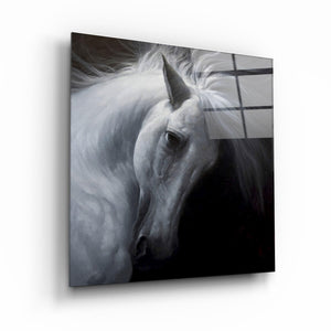 White Horse | Glass Wall Art - Artdesigna