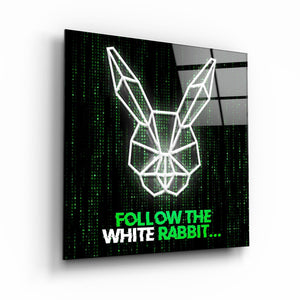 ・"Follow the Rabbit"・Glass Wall Art - ArtDesigna Glass Printing Wall Art