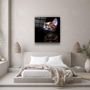 ・"Kitten"・Glass Wall Art - ArtDesigna Glass Printing Wall Art