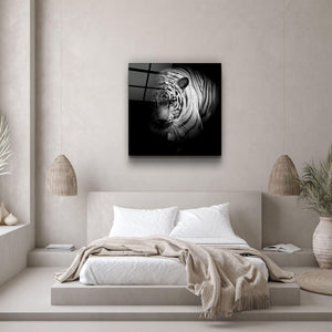 Guardian of the Night | Glass Wall Art - Artdesigna