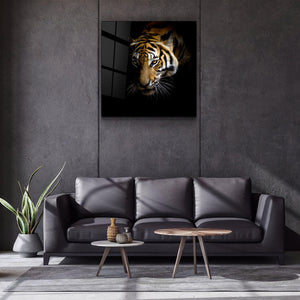 King of the Jungle | Glass Wall Art - Artdesigna