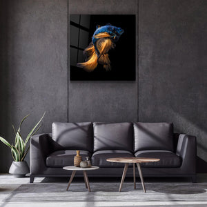 ・"Betta Fish"・Glass Wall Art - ArtDesigna Glass Printing Wall Art