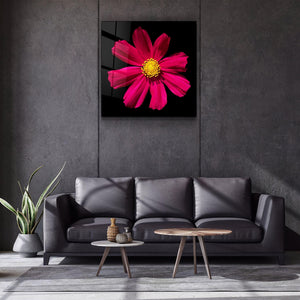 ・"Red flower"・Glass Wall Art - ArtDesigna Glass Printing Wall Art