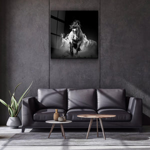 Gallop of the Free | Glass Wall Art - Artdesigna