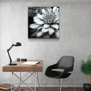・"Flower"・Glass Wall Art - ArtDesigna Glass Printing Wall Art