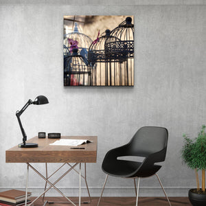 ・"Bird Cage"・Glass Wall Art - ArtDesigna Glass Printing Wall Art