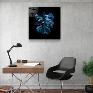 ・"Betta Fish"・Glass Wall Art - ArtDesigna Glass Printing Wall Art