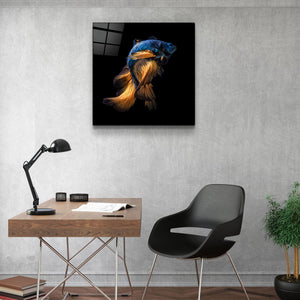・"Betta Fish"・Glass Wall Art - ArtDesigna Glass Printing Wall Art