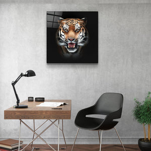 Tiger's Gaze | Glass Wall Art - Artdesigna