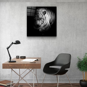 Guardian of the Night | Glass Wall Art - Artdesigna