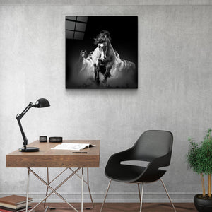 Gallop of the Free | Glass Wall Art - Artdesigna