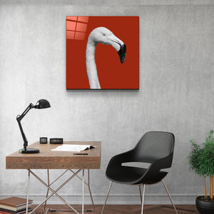 ・"Flamingo - Red"・Glass Wall Art - ArtDesigna Glass Printing Wall Art
