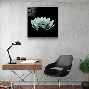 ."Botanica". Designer's Collection Glass Wall Art - ArtDesigna Glass Printing Wall Art