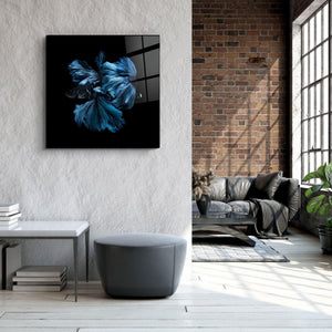 ・"Betta Fish"・Glass Wall Art - ArtDesigna Glass Printing Wall Art