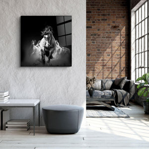 Gallop of the Free | Glass Wall Art - Artdesigna