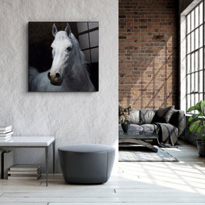 Calm in White | Glass Wall Art - Artdesigna