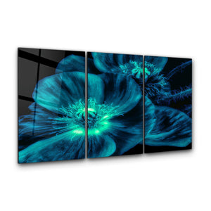 ・"Macro Flower Blue - Trio"・Glass Wall Art - ArtDesigna Glass Printing Wall Art