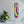 Bananas with Paint | Glass Wall Art - Artdesigna