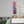 Cactus | Glass Wall Art - Artdesigna