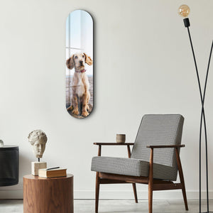 Özel Baskılı Kaykay | Cam Duvar Tablosu