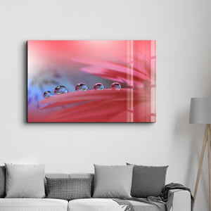 Delicate Dewdrops | Glass Wall Art - Artdesigna