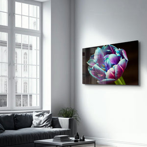 Tulip | Glass Wall Art - Artdesigna